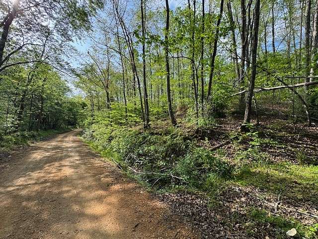 11.4 Acres of Land for Auction in Centerville, Tennessee