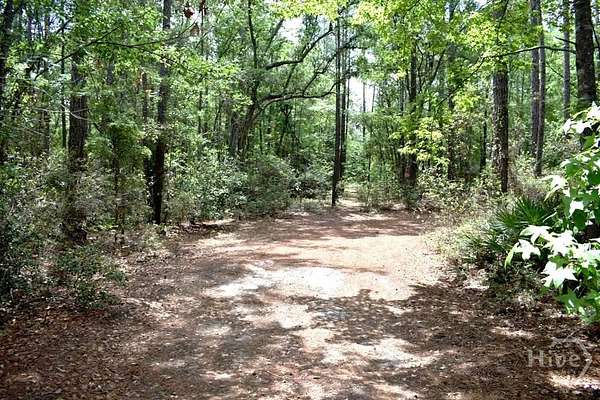 2 Acres of Residential Land for Sale in Ellabell, Georgia