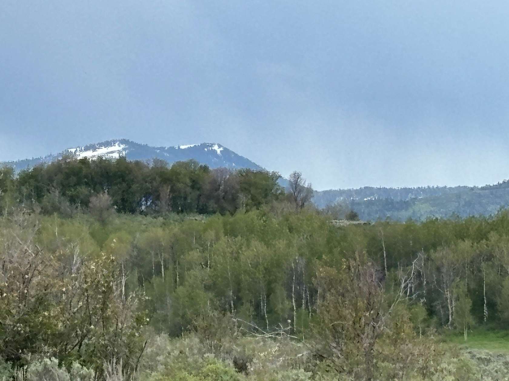 20 Acres of Improved Land for Sale in Montpelier, Idaho