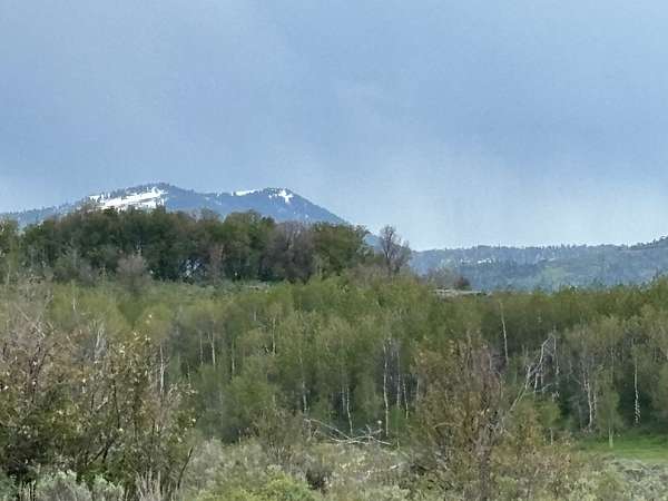 20 Acres of Improved Land for Sale in Montpelier, Idaho
