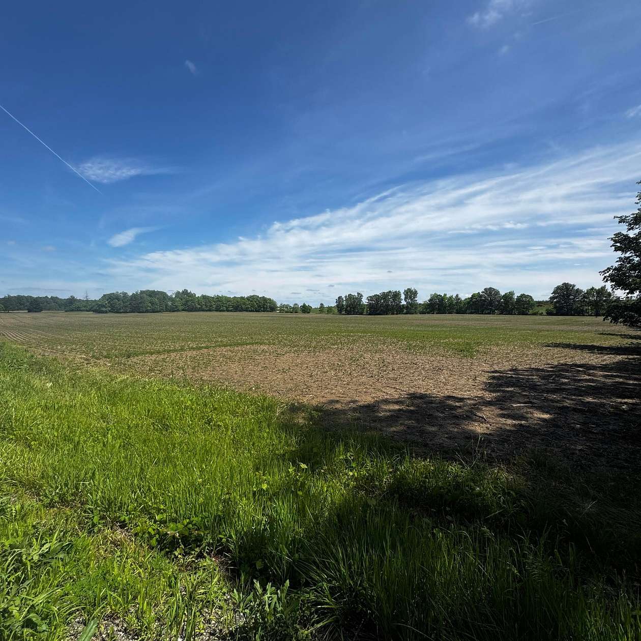 19.9 Acres of Land for Sale in Ostrander, Ohio