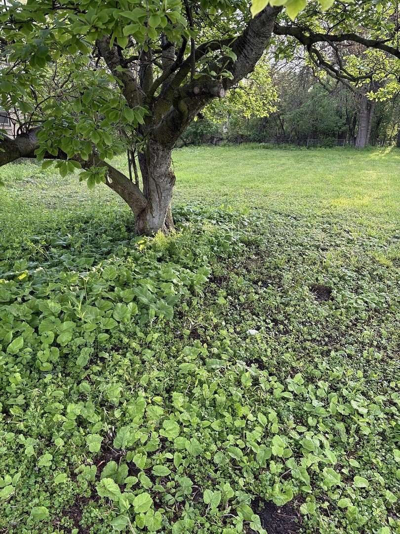 0.08 Acres of Residential Land for Sale in Robbins, Illinois