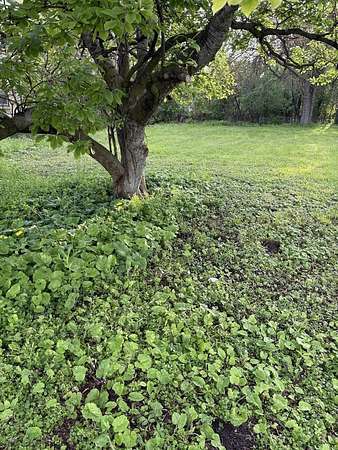 0.08 Acres of Residential Land for Sale in Robbins, Illinois