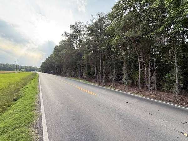 29 Acres of Recreational Land for Sale in Bastrop, Louisiana