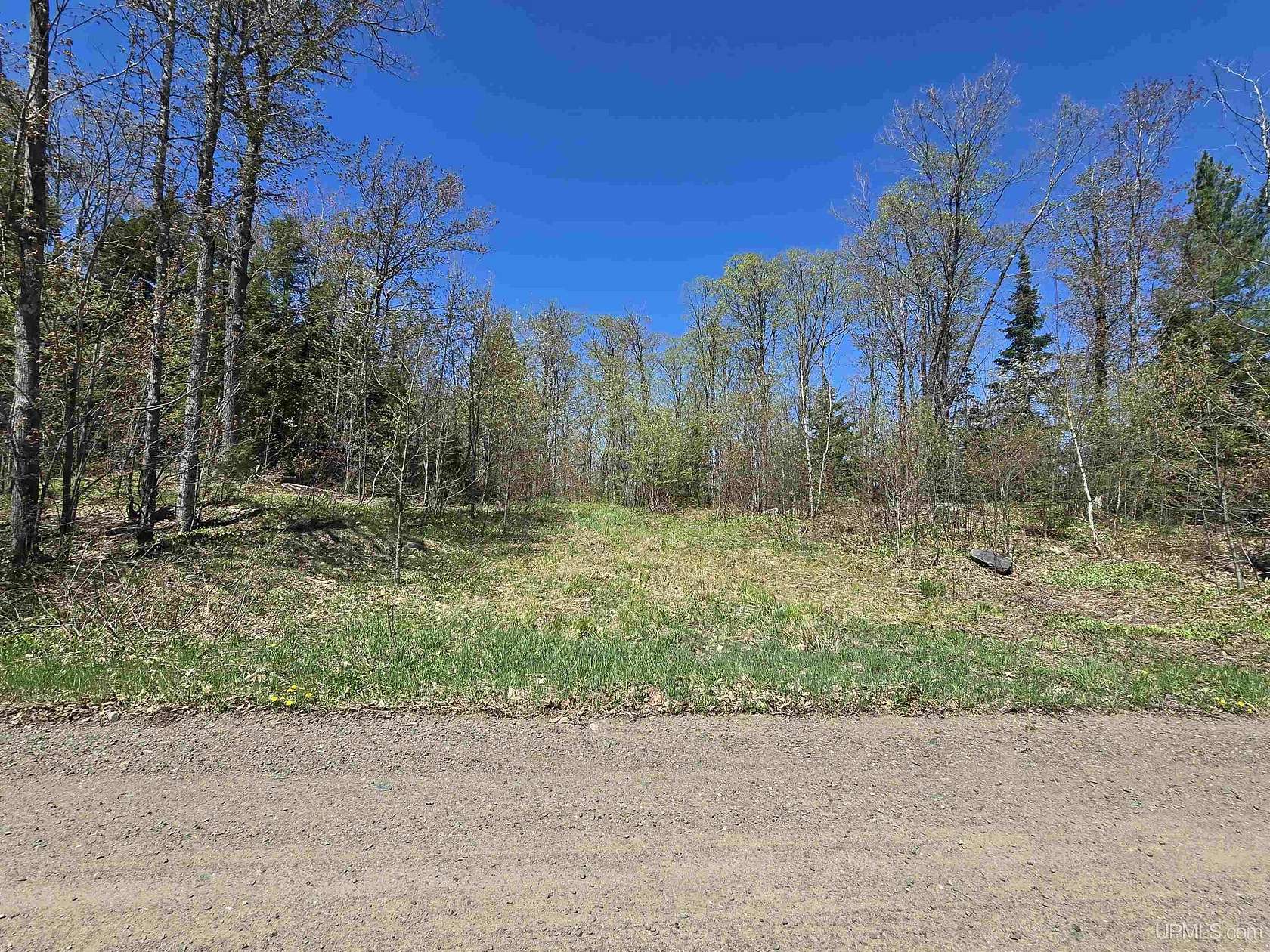 57 Acres of Recreational & Residential Land for Sale in Covington, Michigan