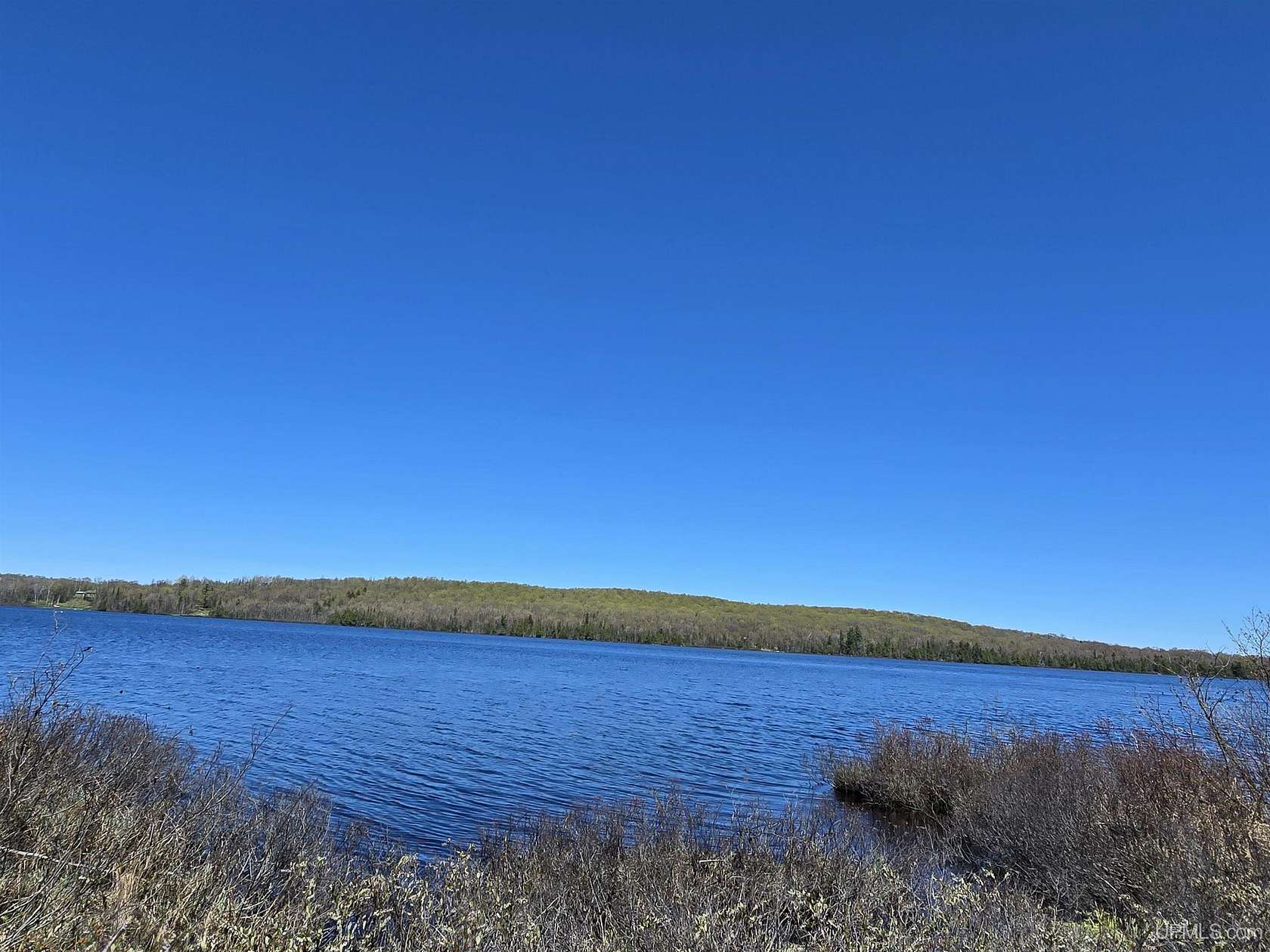 57 Acres of Recreational & Residential Land for Sale in Covington, Michigan