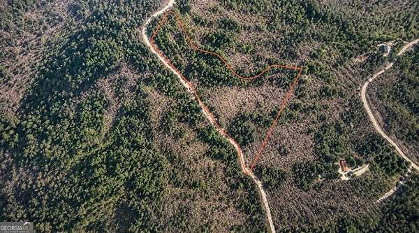 5 Acres of Land for Sale in Ellijay, Georgia