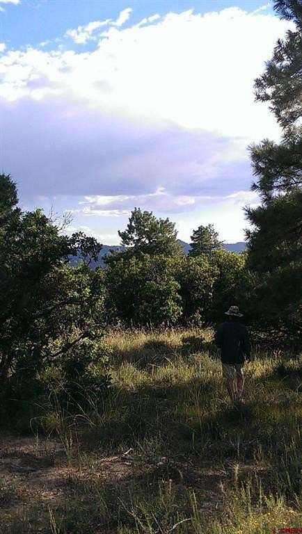1 Acre of Land for Sale in Pagosa Springs, Colorado