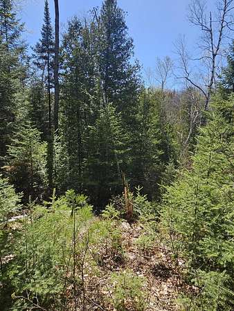 3 Acres of Land for Sale in Mio, Michigan