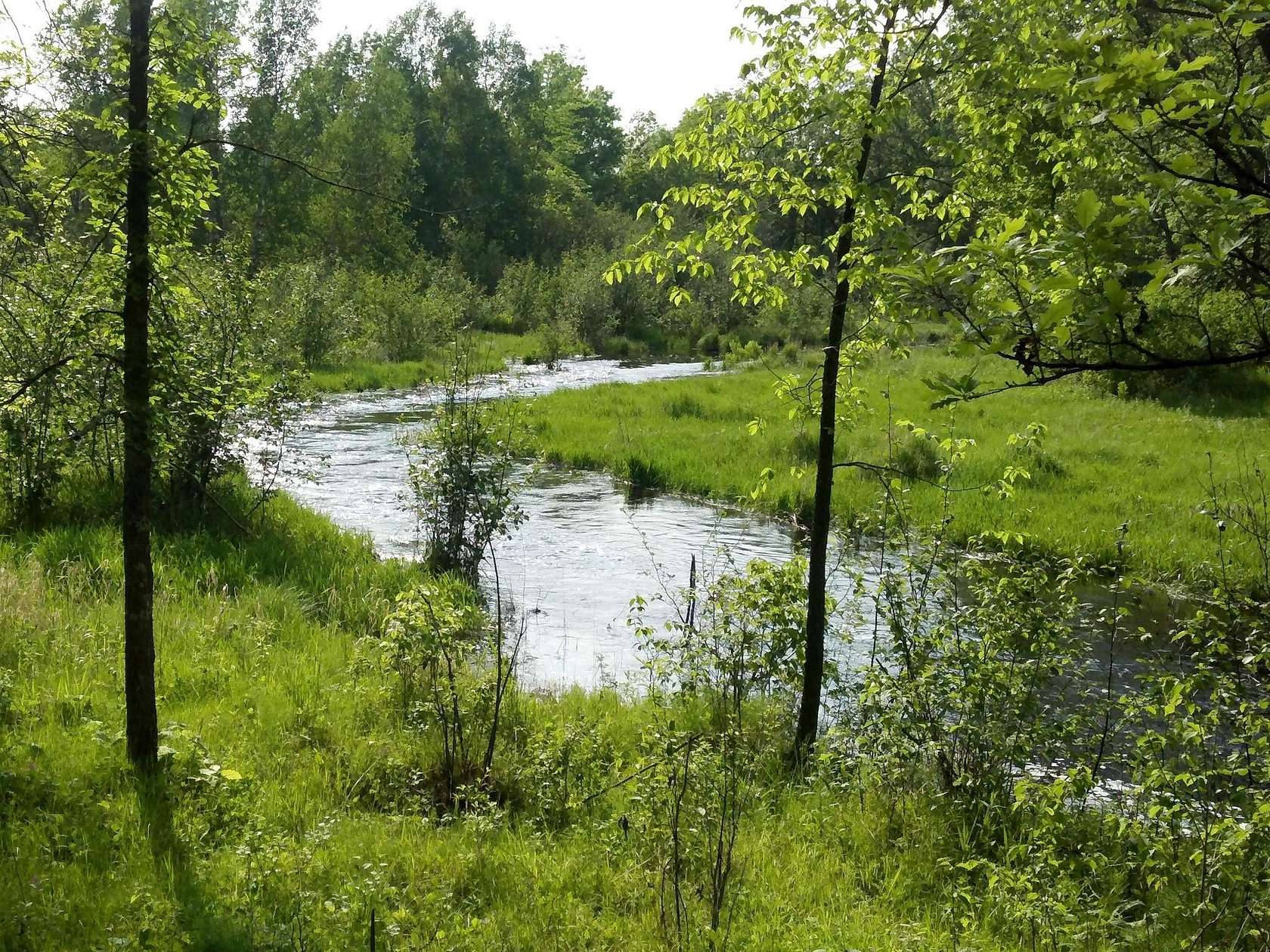 44.2 Acres of Recreational Land for Sale in Brook Park, Minnesota