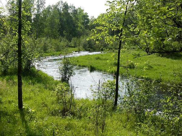 44.2 Acres of Recreational Land for Sale in Brook Park, Minnesota