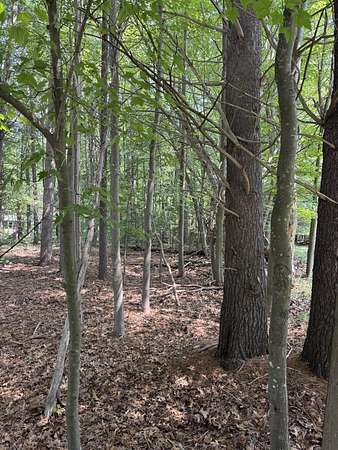 3 Acres of Residential Land for Sale in Pentwater, Michigan