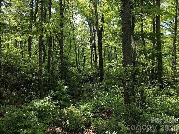 0.61 Acres of Residential Land for Sale in Hendersonville, North Carolina
