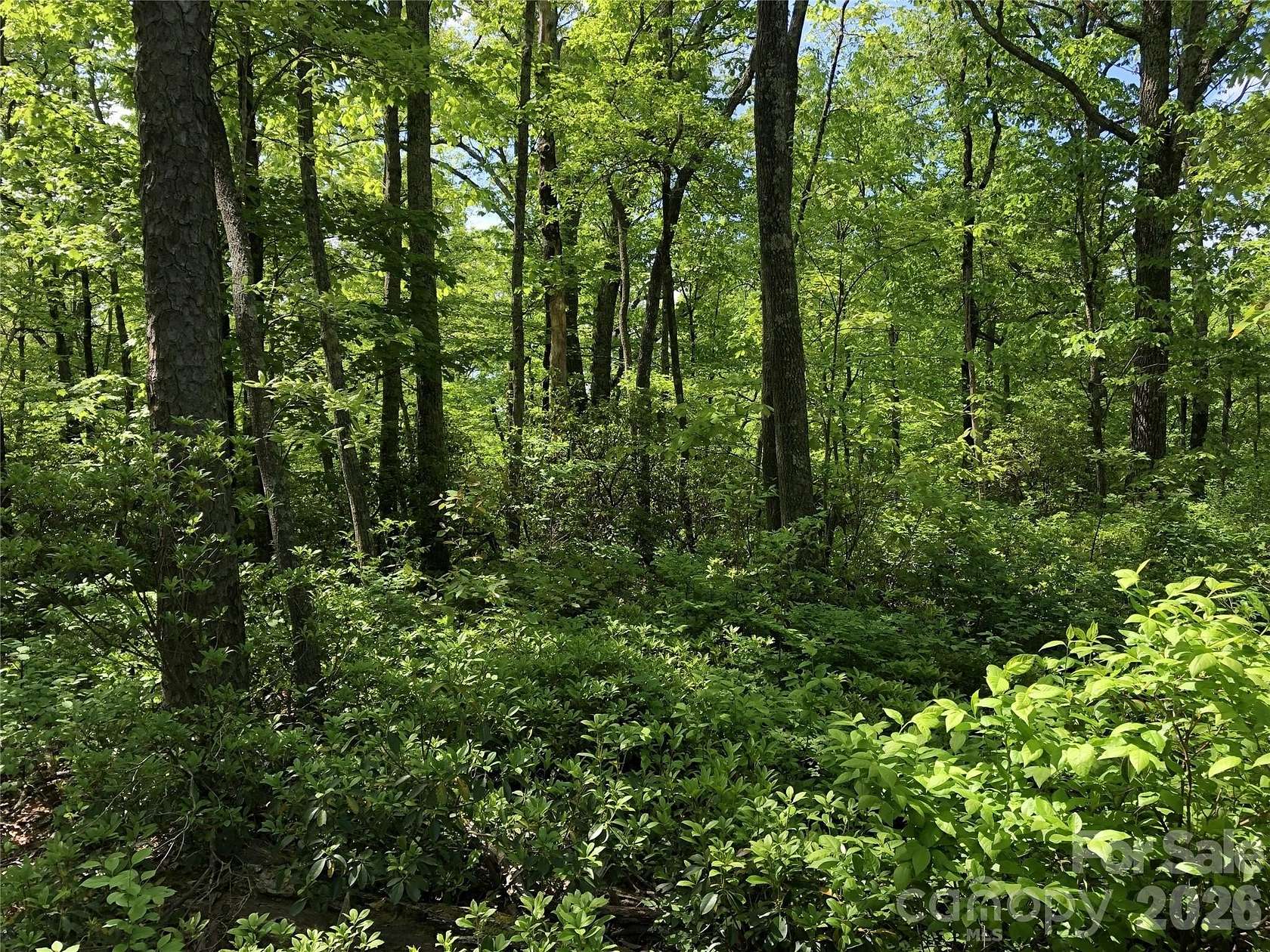 0.67 Acres of Residential Land for Sale in Hendersonville, North Carolina