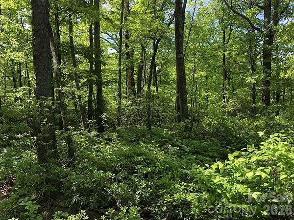 0.67 Acres of Residential Land for Sale in Hendersonville, North Carolina