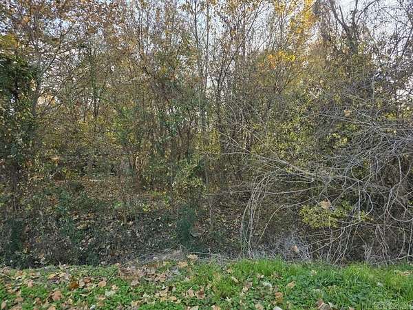 0.27 Acres of Residential Land for Sale in Wynne, Arkansas