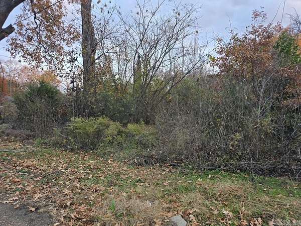 0.17 Acres of Land for Sale in Parkin, Arkansas