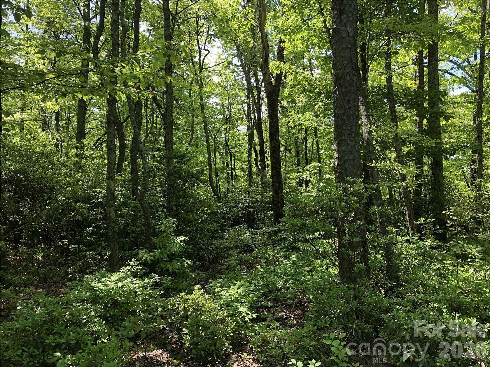 0.68 Acres of Residential Land for Sale in Hendersonville, North Carolina