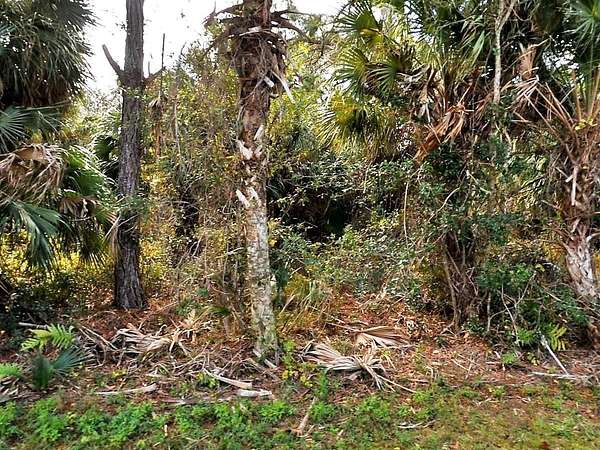 0.46 Acres of Residential Land for Sale in North Port, Florida