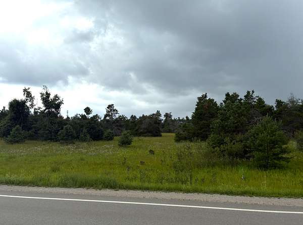 10.4 Acres of Commercial Land for Sale in Lewiston, Michigan