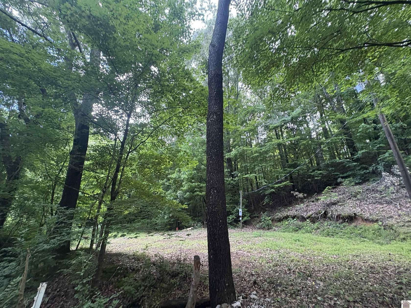 5 Acres of Residential Land for Sale in Cadiz, Kentucky