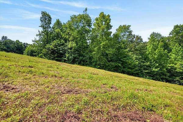 33.3 Acres of Recreational & Residential Land for Sale in Indian Mound, Tennessee