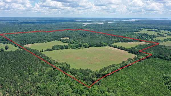 231 Acres of Recreational & Residential Land for Sale in Douglassville, Texas