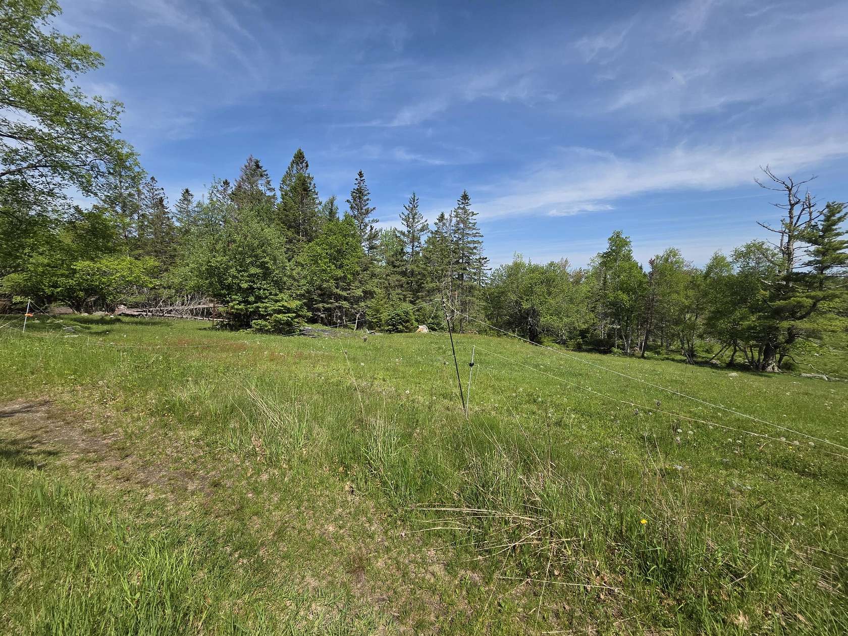 30.5 Acres of Land for Sale in Bucksport, Maine