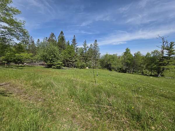 30.5 Acres of Land for Sale in Bucksport, Maine
