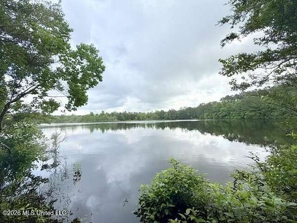 17.5 Acres of Recreational & Residential Land for Sale in McComb, Mississippi