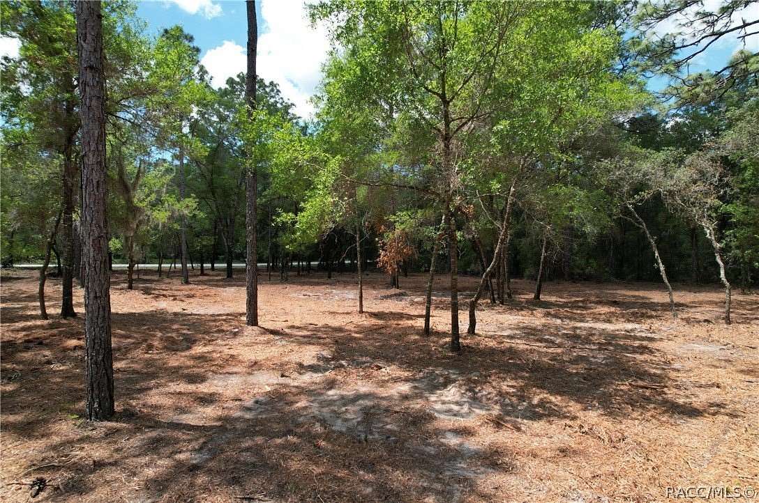 5.18 Acres of Land for Sale in Dunnellon, Florida