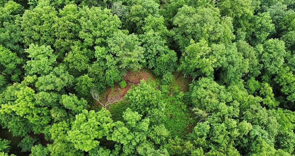 36 Acres of Recreational & Residential Land for Sale in Louisa, Kentucky