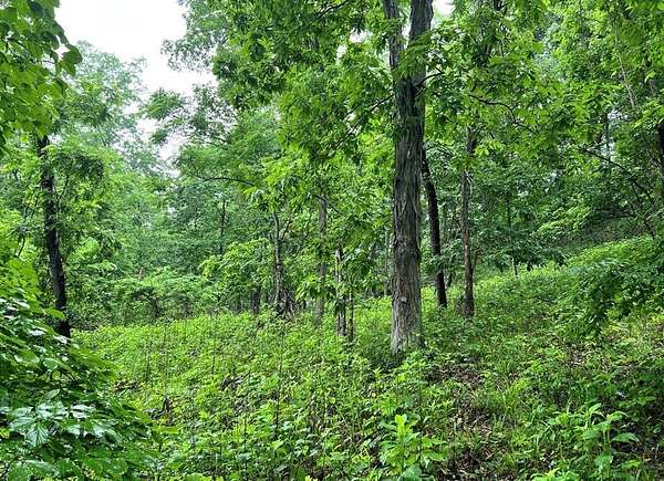 36 Acres of Recreational & Residential Land for Sale in Louisa, Kentucky