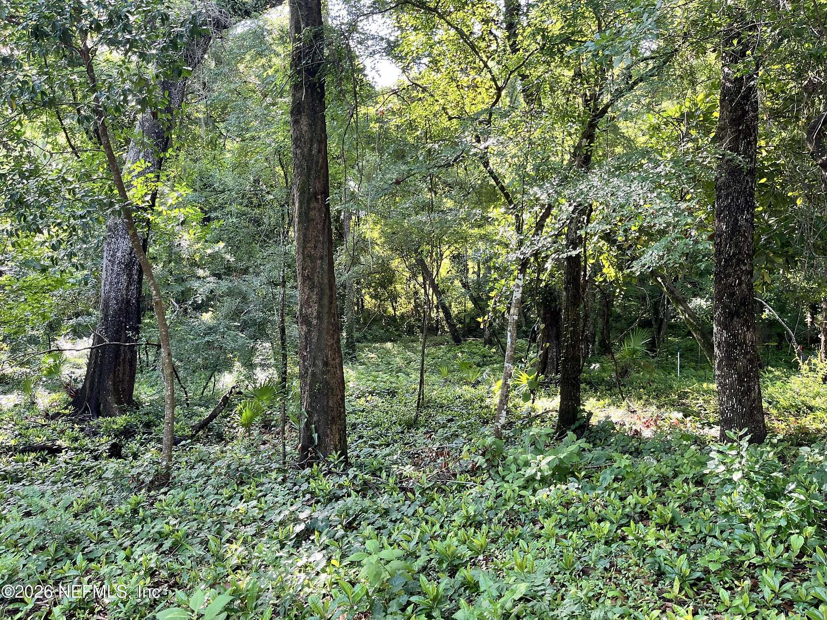 0.63 Acres of Residential Land for Sale in Jacksonville, Florida