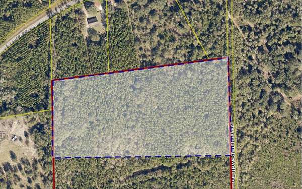 20 Acres of Agricultural & Residential Land for Sale in Lulu, Florida
