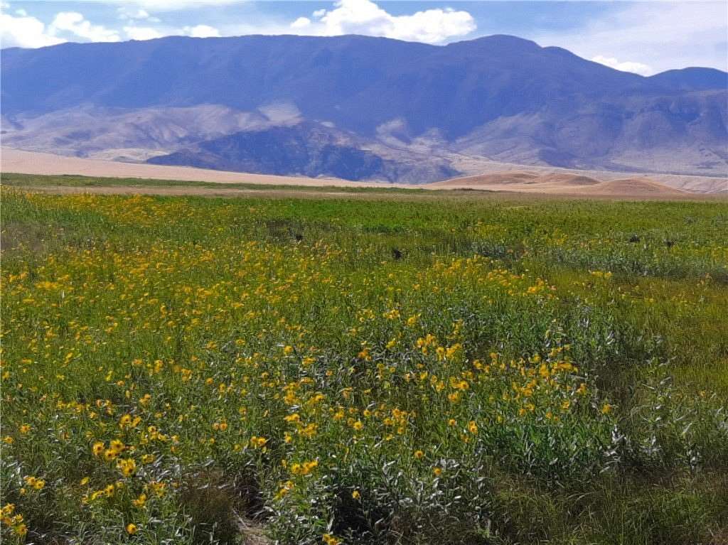 66.4 Acres of Recreational & Residential Land for Sale in Belfry, Montana