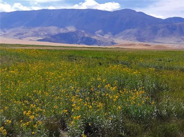 66.4 Acres of Recreational & Residential Land for Sale in Belfry, Montana