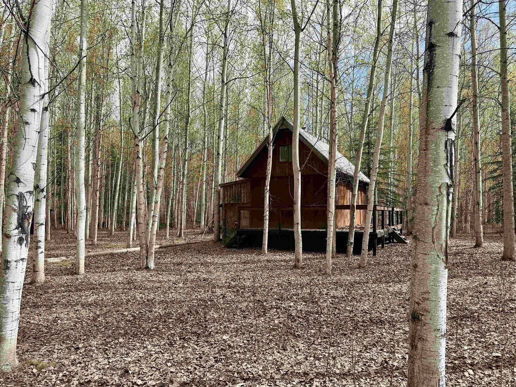 220 Acres of Land with Home for Sale in Delta Junction, Alaska
