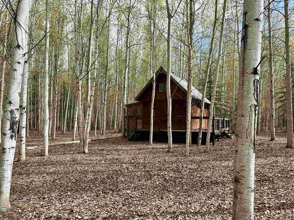 220 Acres of Land with Home for Sale in Delta Junction, Alaska