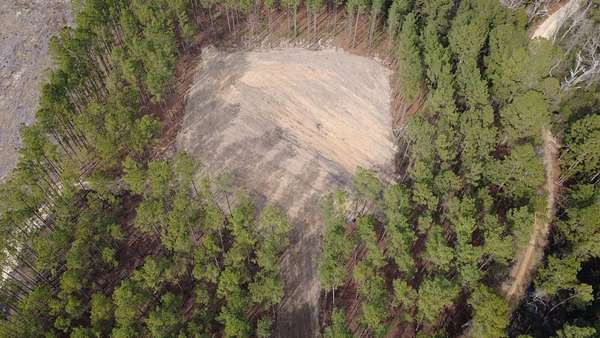 7.74 Acres of Residential Land for Sale in Monetta, South Carolina