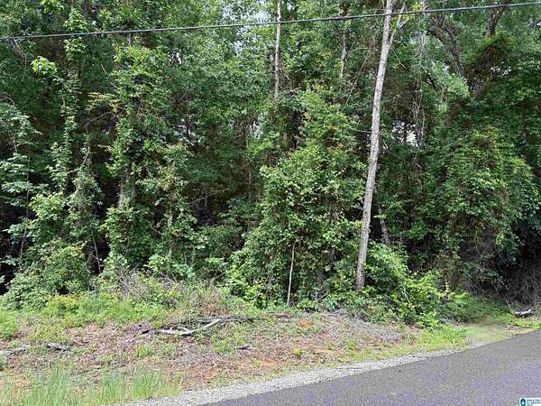 0.65 Acres of Residential Land for Sale in Cottondale, Alabama