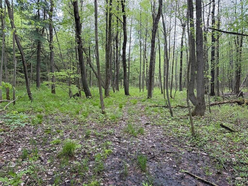 11.4 Acres of Recreational Land for Sale in South Dayton, New York