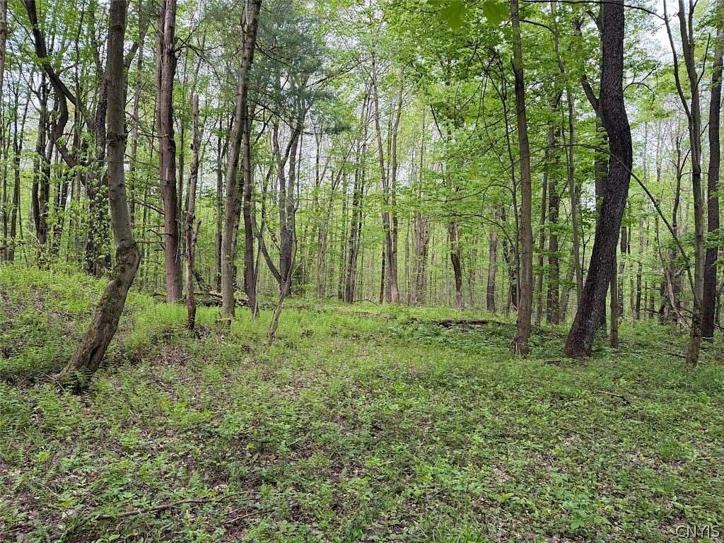 6.5 Acres of Land for Sale in South Dayton, New York