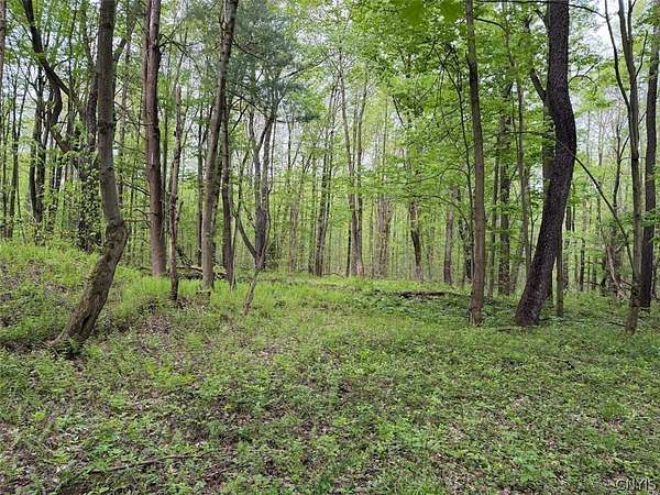 6.5 Acres of Land for Sale in South Dayton, New York