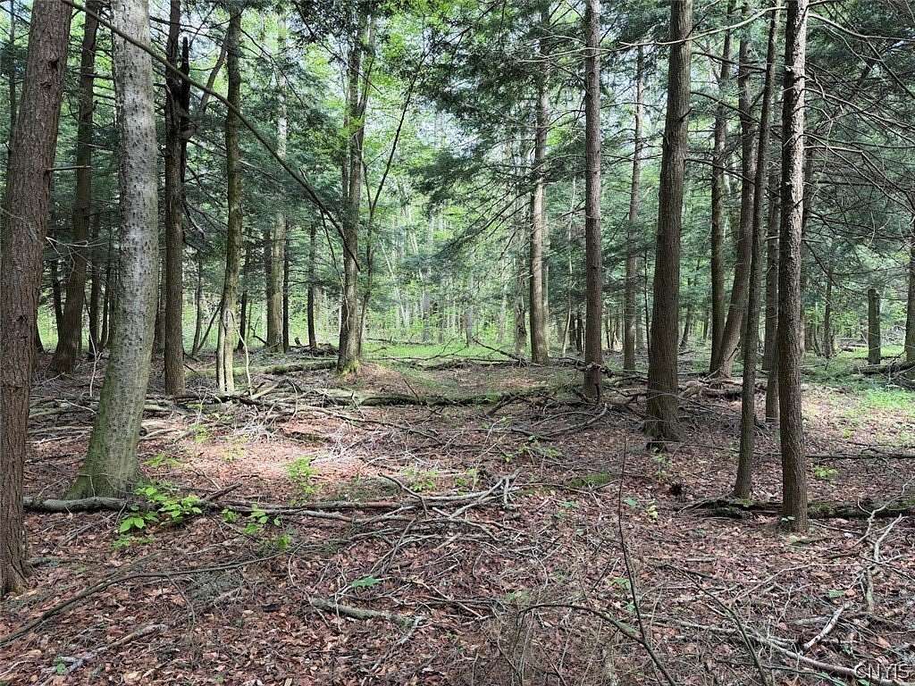 7.5 Acres of Land for Sale in South Dayton, New York