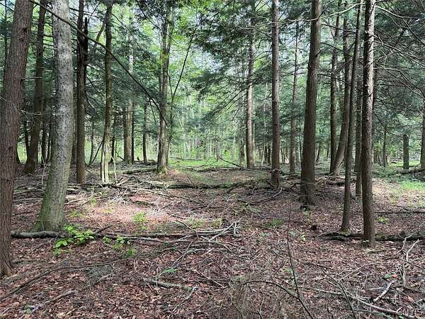 7.5 Acres of Land for Sale in South Dayton, New York