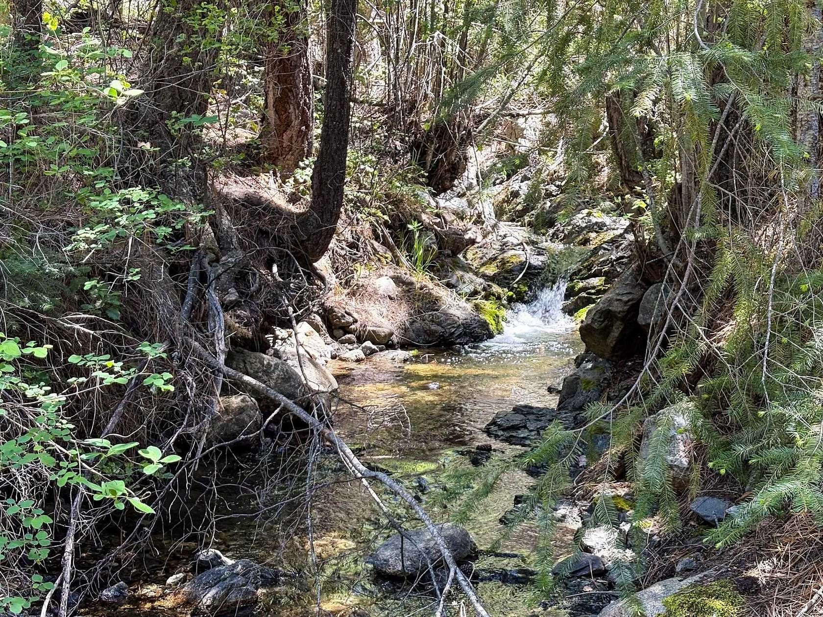 320 Acres of Recreational Land for Sale in Gazelle, California