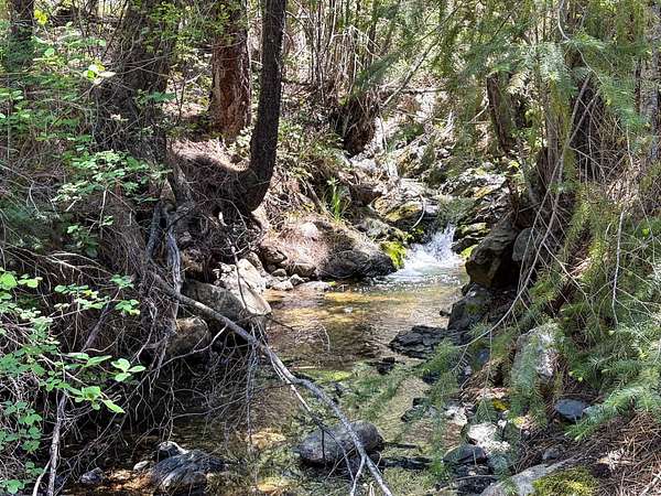 320 Acres of Recreational Land for Sale in Gazelle, California