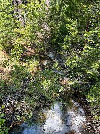 320 Acres of Recreational Land for Sale in Gazelle, California