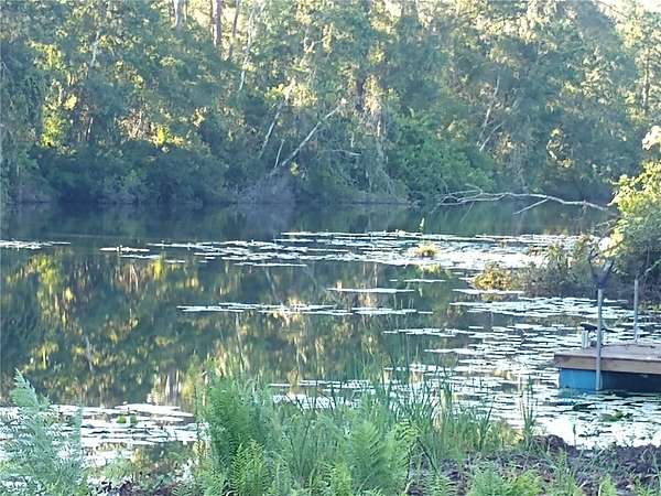 0.3 Acres of Residential Land for Sale in Land O' Lakes, Florida